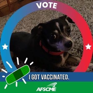 Meet your Posher, Debi